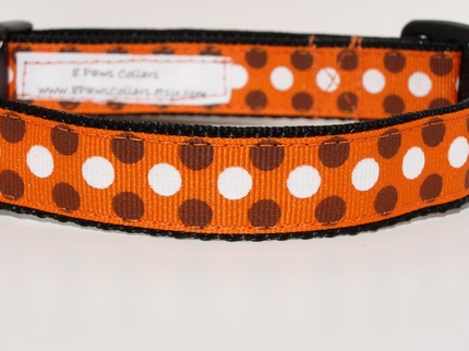 Orange Collar