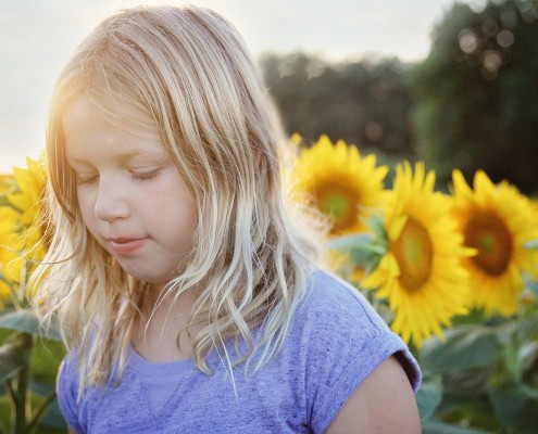 Sunflower Fields Kansas City Photographer