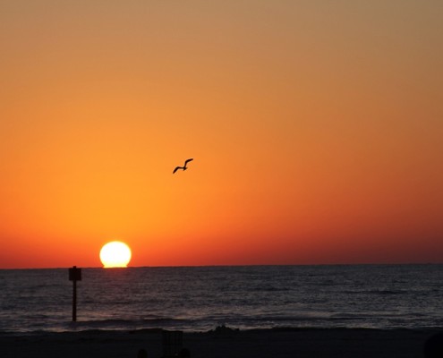 Clearwater Sunset 2014